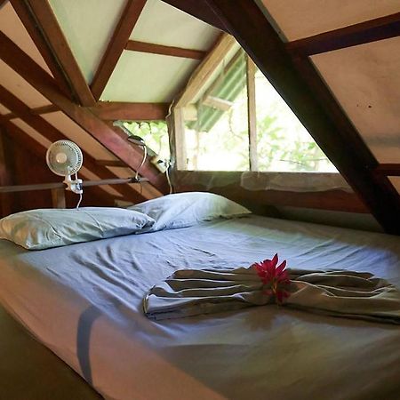 Luz En El Cielo Eco-B&B/Hostel 蒙特苏马 外观 照片