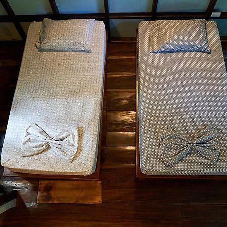 Luz En El Cielo Eco-B&B/Hostel 蒙特苏马 外观 照片