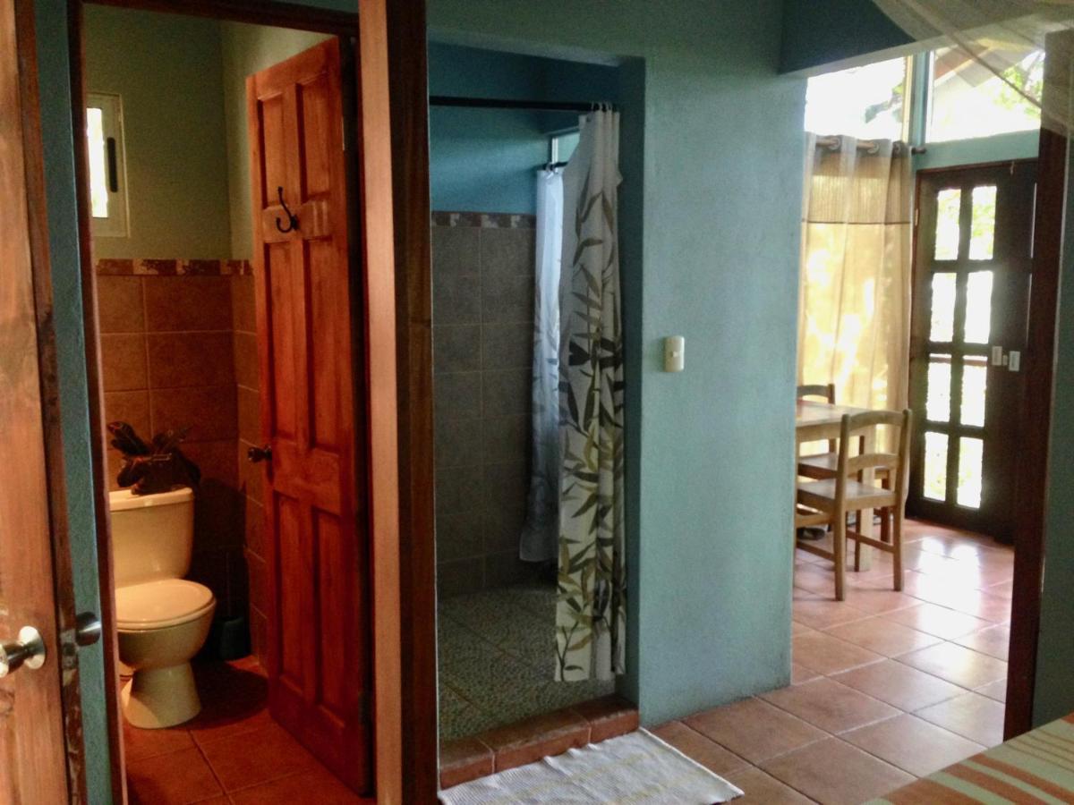 Luz En El Cielo Eco-B&B/Hostel 蒙特苏马 外观 照片