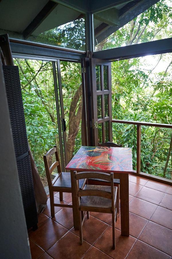 Luz En El Cielo Eco-B&B/Hostel 蒙特苏马 外观 照片