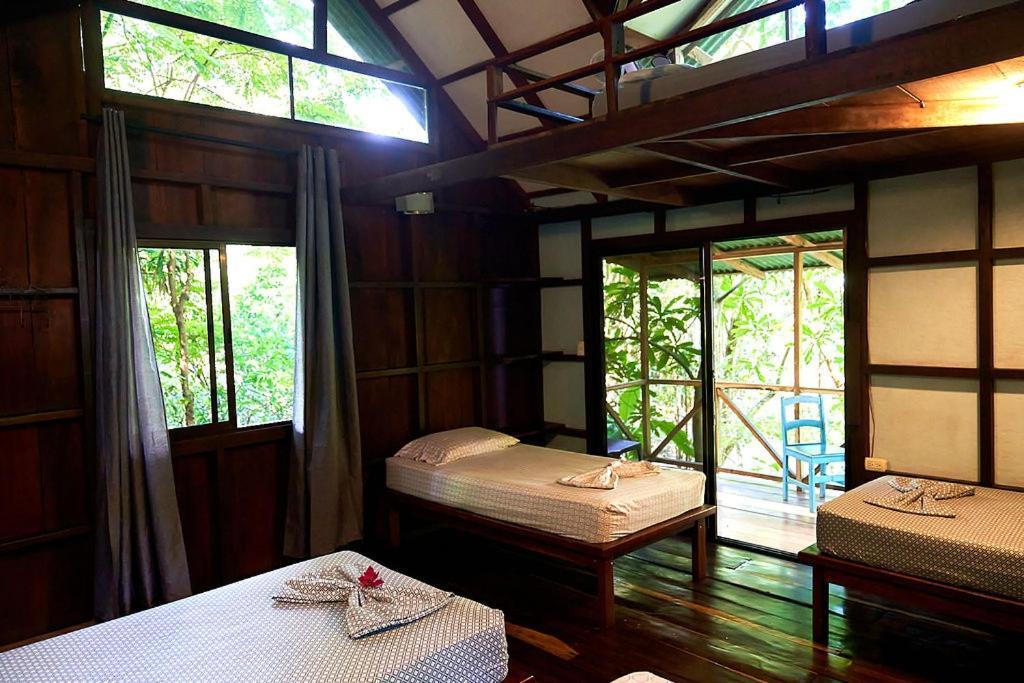 Luz En El Cielo Eco-B&B/Hostel 蒙特苏马 外观 照片