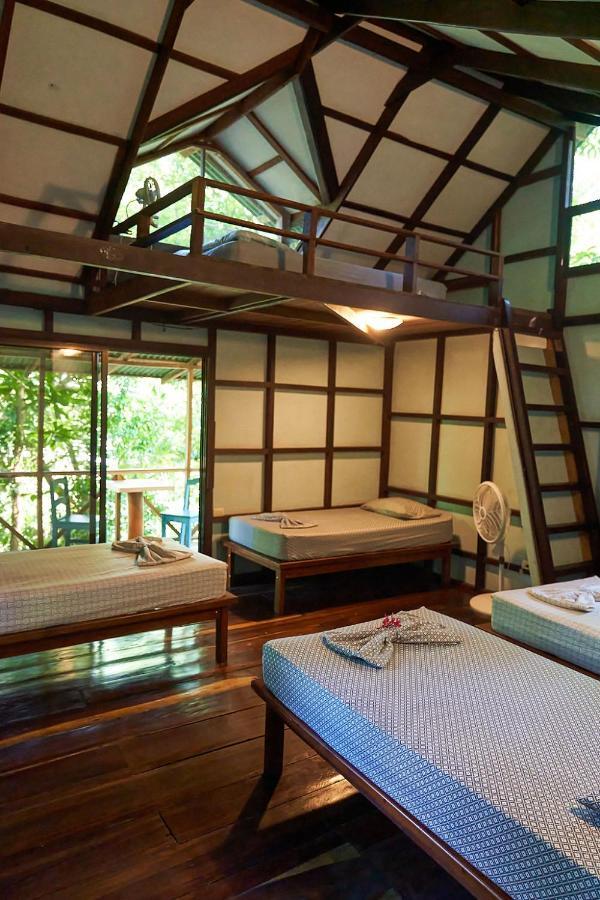 Luz En El Cielo Eco-B&B/Hostel 蒙特苏马 外观 照片