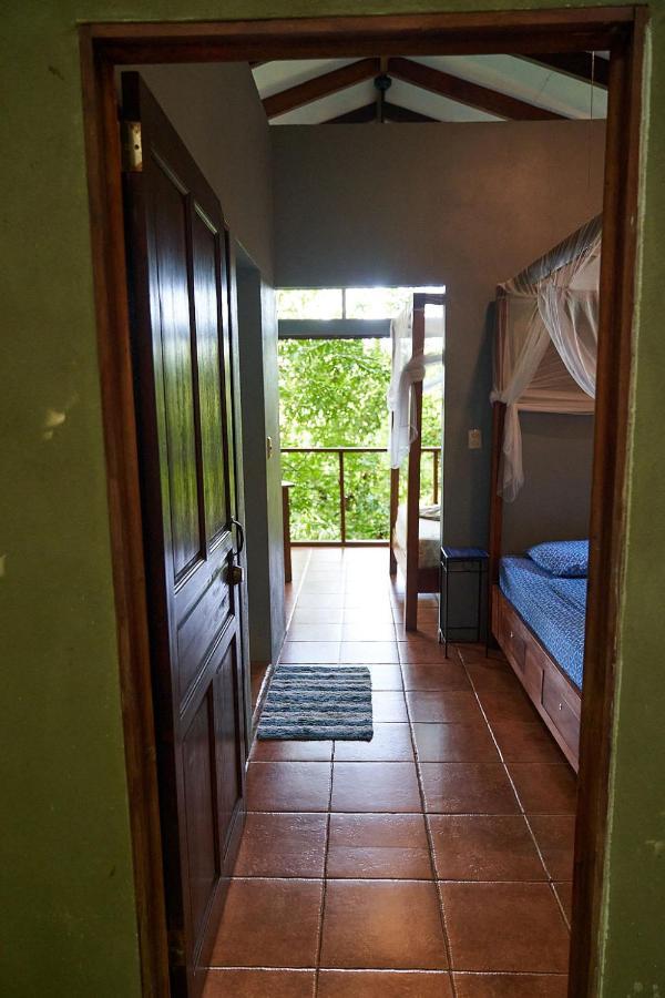 Luz En El Cielo Eco-B&B/Hostel 蒙特苏马 外观 照片