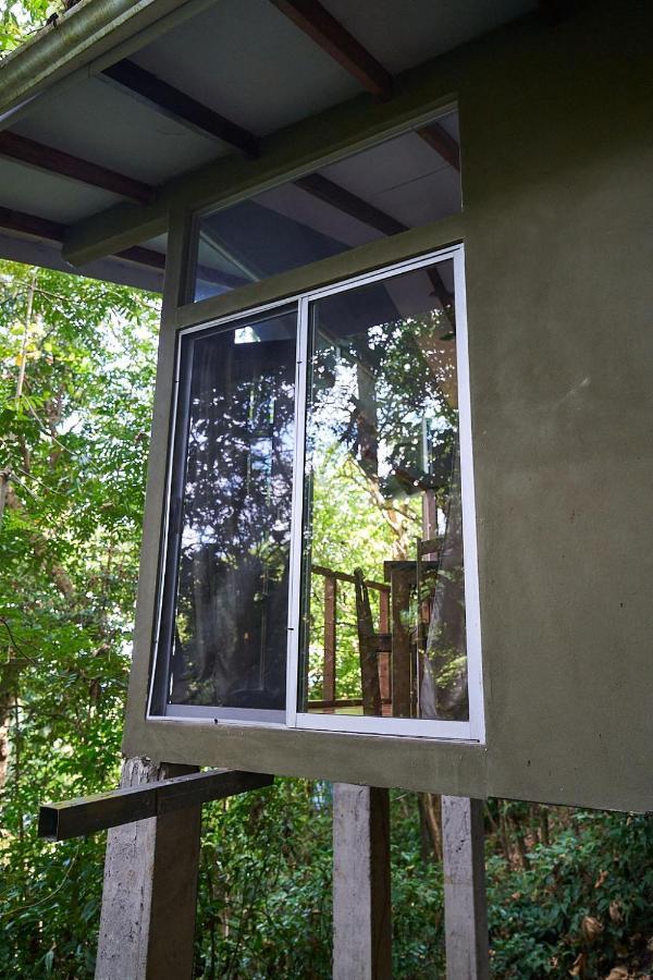 Luz En El Cielo Eco-B&B/Hostel 蒙特苏马 外观 照片