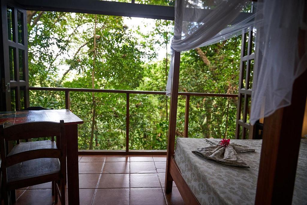 Luz En El Cielo Eco-B&B/Hostel 蒙特苏马 外观 照片