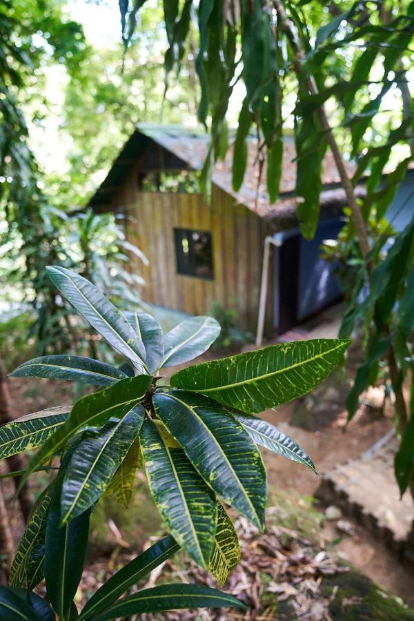 Luz En El Cielo Eco-B&B/Hostel 蒙特苏马 外观 照片