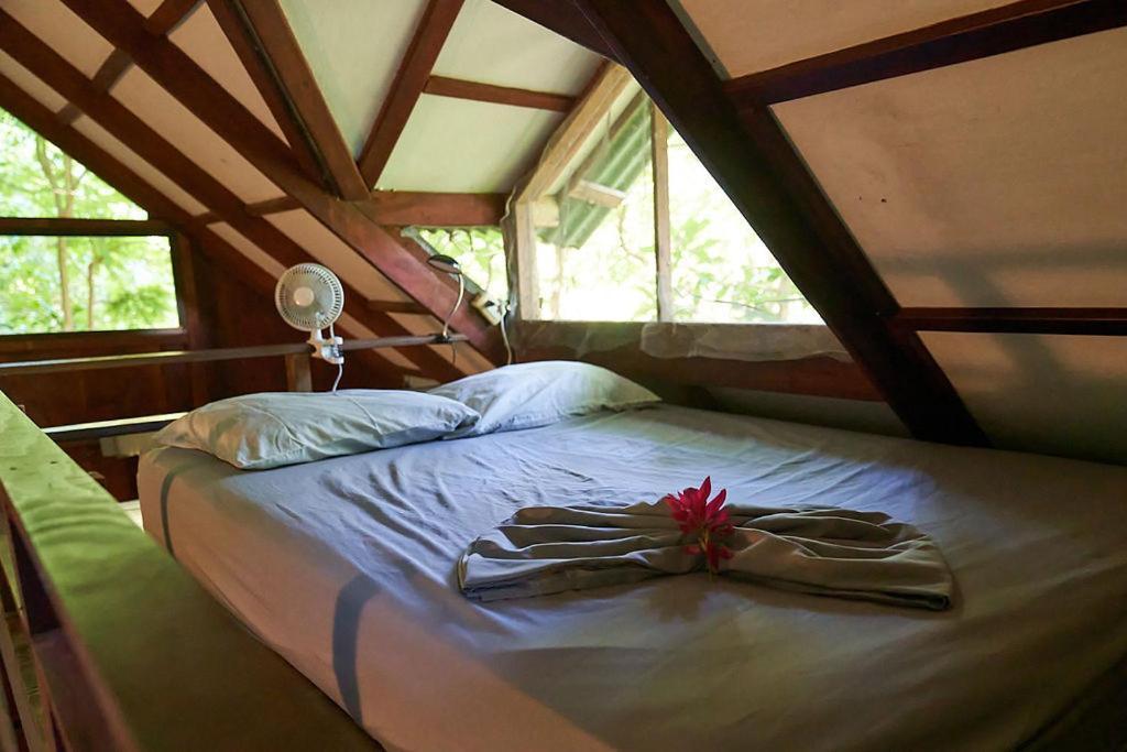 Luz En El Cielo Eco-B&B/Hostel 蒙特苏马 外观 照片