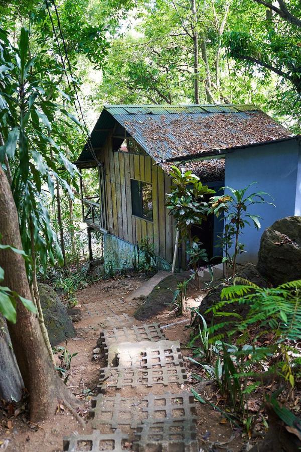 Luz En El Cielo Eco-B&B/Hostel 蒙特苏马 外观 照片
