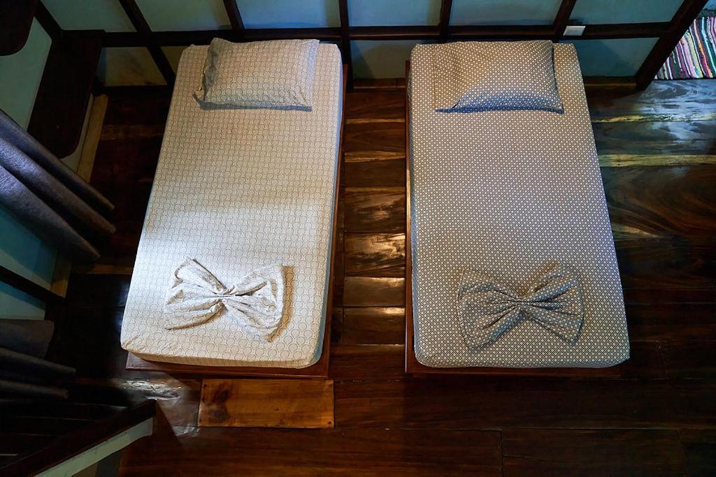Luz En El Cielo Eco-B&B/Hostel 蒙特苏马 外观 照片