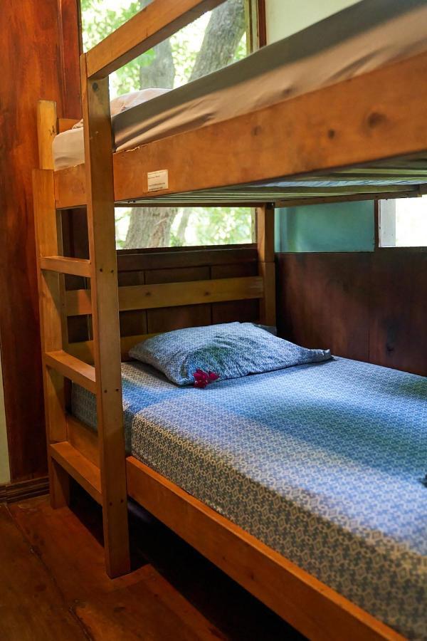 Luz En El Cielo Eco-B&B/Hostel 蒙特苏马 外观 照片