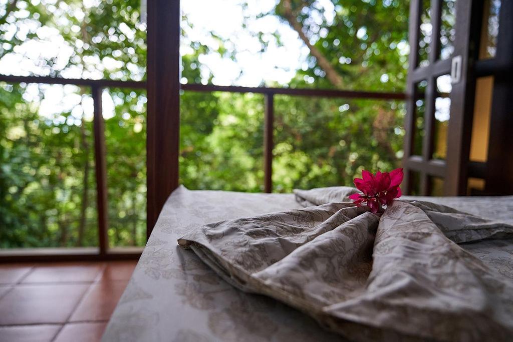 Luz En El Cielo Eco-B&B/Hostel 蒙特苏马 外观 照片