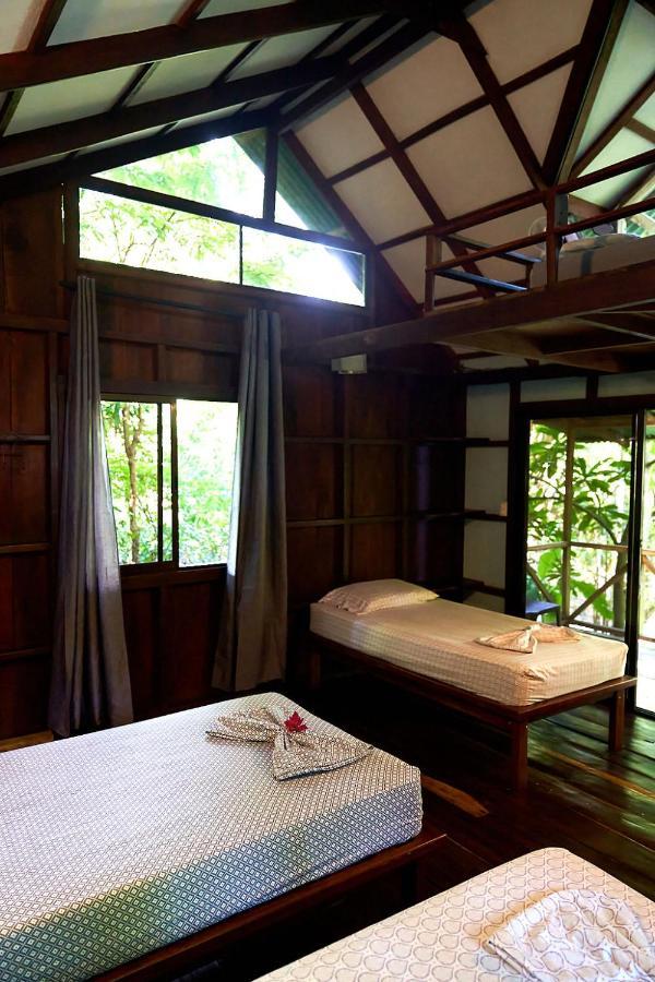 Luz En El Cielo Eco-B&B/Hostel 蒙特苏马 外观 照片