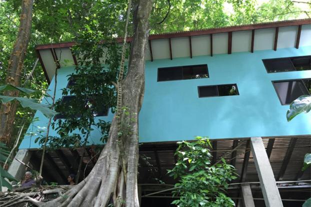 Luz En El Cielo Eco-B&B/Hostel 蒙特苏马 客房 照片