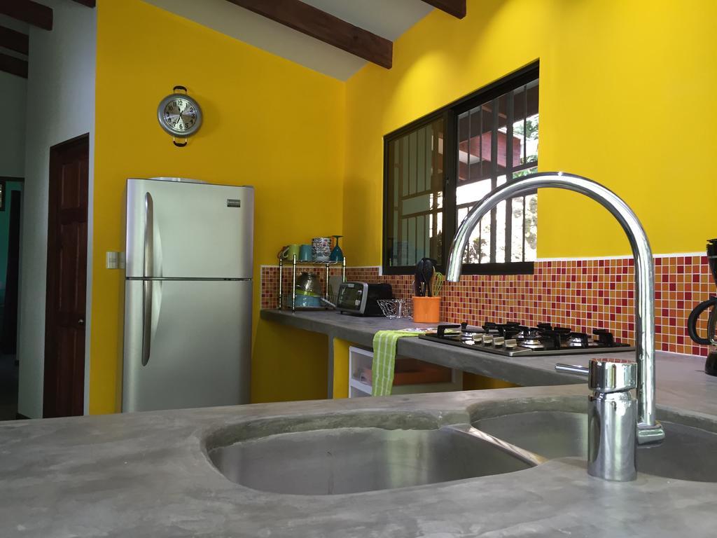 Luz En El Cielo Eco-B&B/Hostel 蒙特苏马 客房 照片