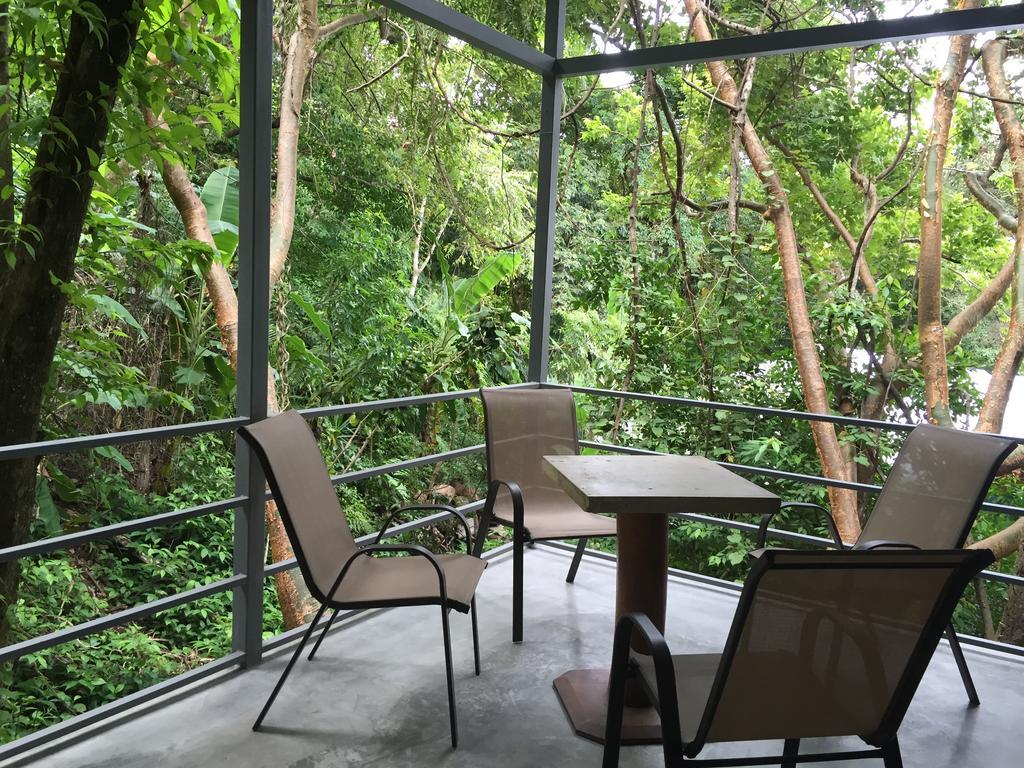 Luz En El Cielo Eco-B&B/Hostel 蒙特苏马 客房 照片
