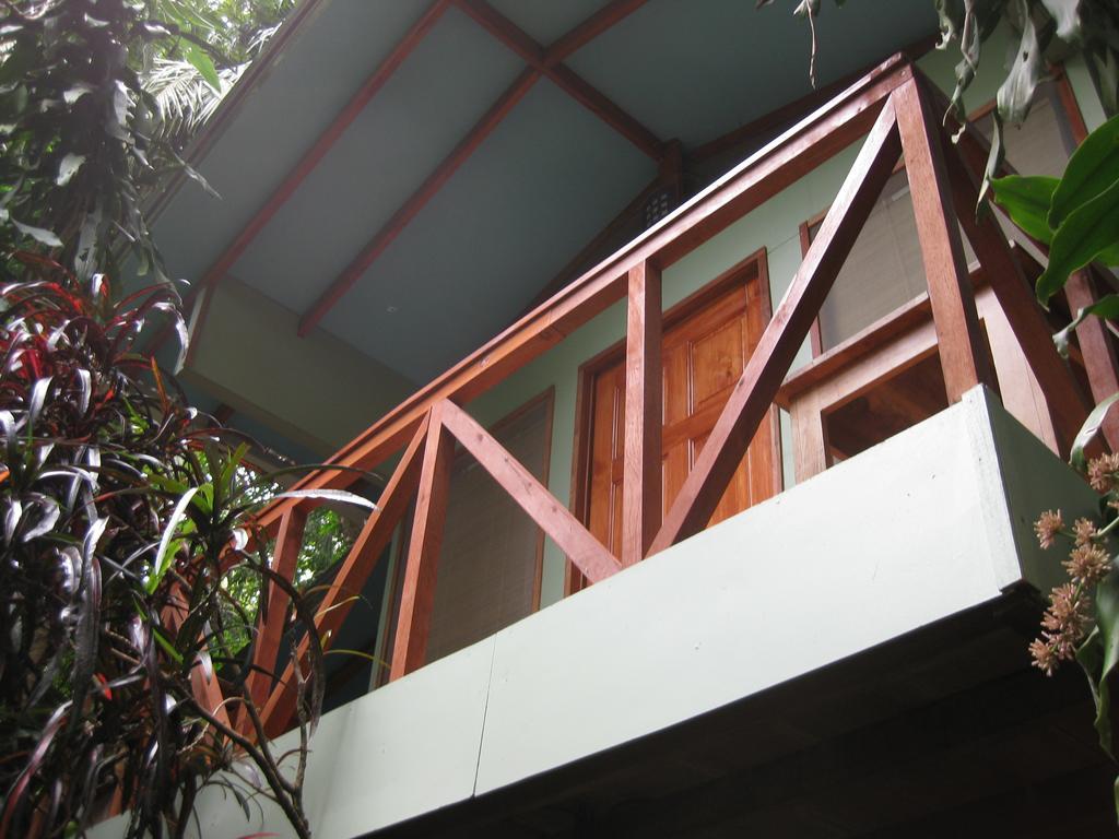 Luz En El Cielo Eco-B&B/Hostel 蒙特苏马 客房 照片
