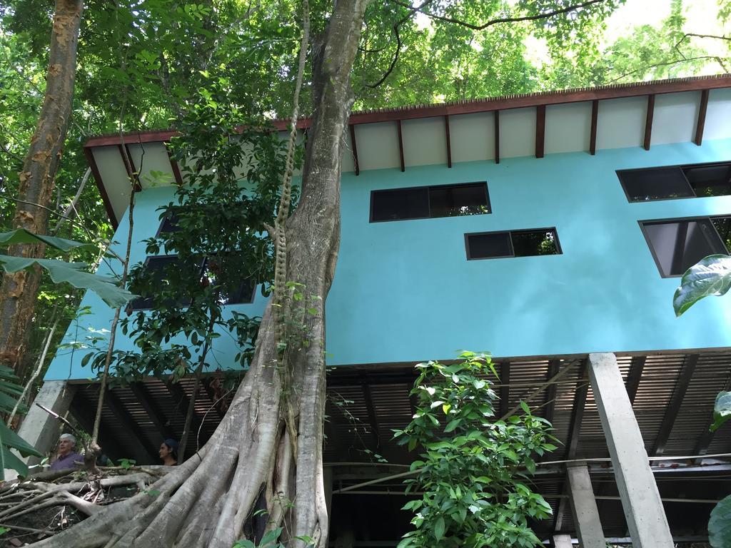 Luz En El Cielo Eco-B&B/Hostel 蒙特苏马 客房 照片