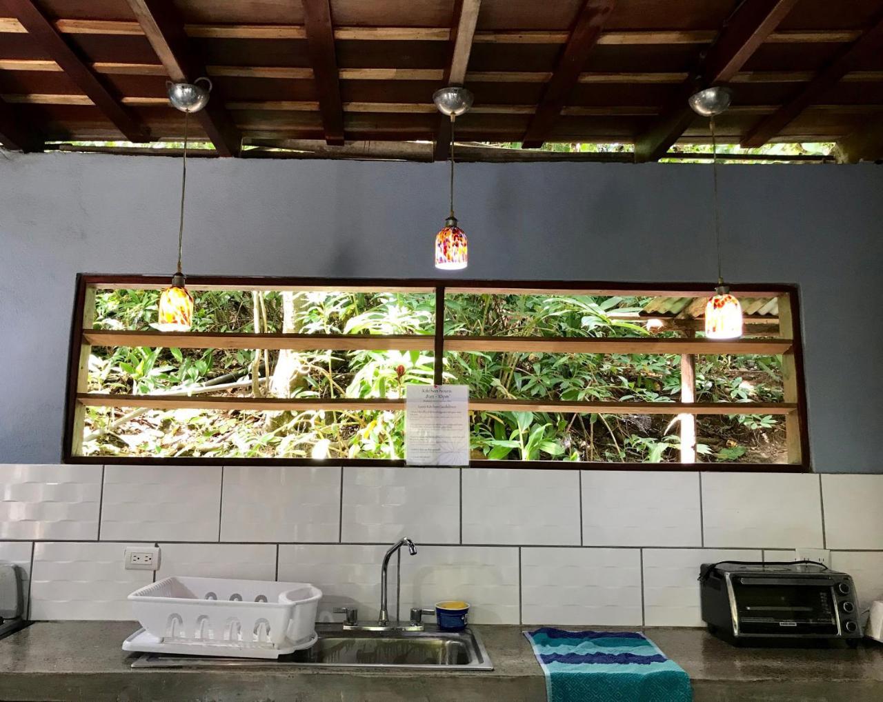 Luz En El Cielo Eco-B&B/Hostel 蒙特苏马 外观 照片